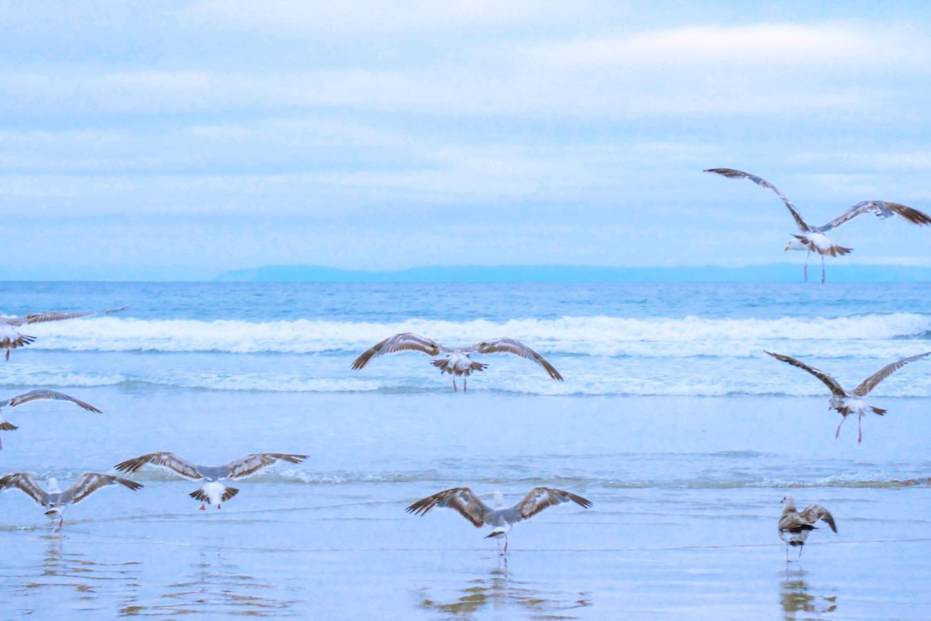 De Duintuin - In De Duinen, Groote Keeten Aan Zee Callantsoog Dış mekan fotoğraf