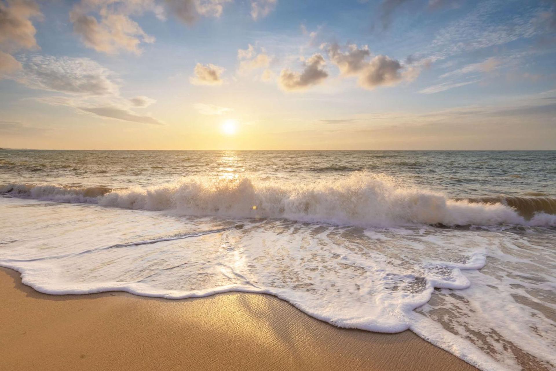 De Duintuin - In De Duinen, Groote Keeten Aan Zee Callantsoog Dış mekan fotoğraf