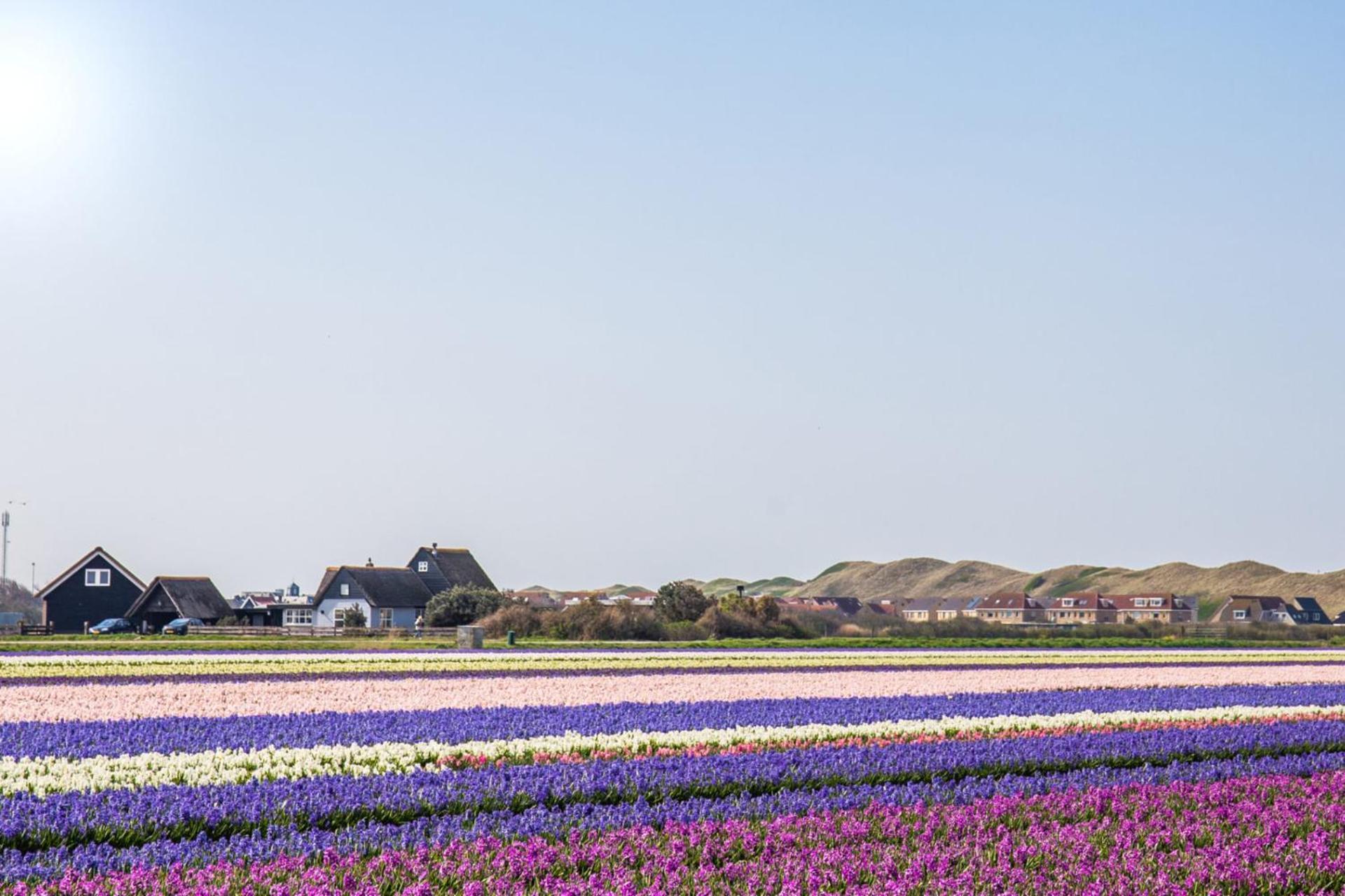 De Duintuin - In De Duinen, Groote Keeten Aan Zee Callantsoog Dış mekan fotoğraf